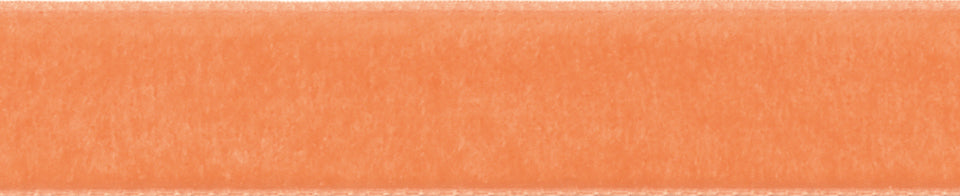 Velvet Ribbons - 5 Metres : Abricot