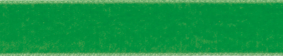 Velvet Ribbons - 5 Metres : Laitue